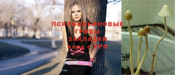 СК Беломорск