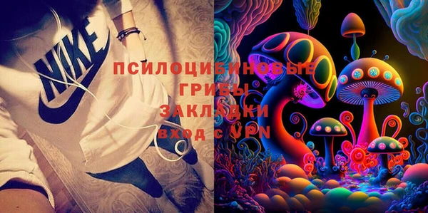 гидра Белоозёрский
