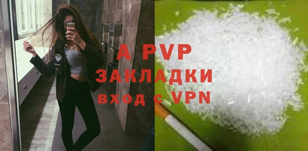PSILOCYBIN Белокуриха