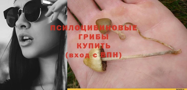 гидра Белоозёрский