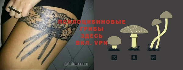 PSILOCYBIN Белокуриха