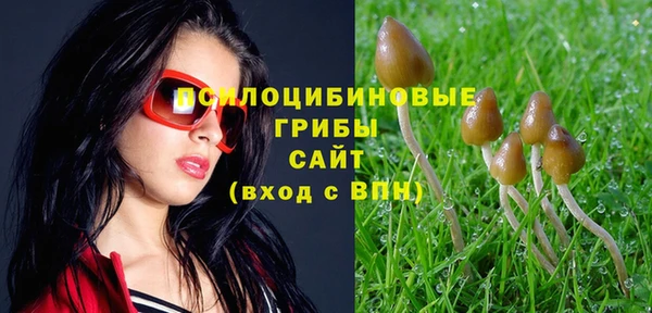СК Беломорск