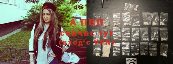 PSILOCYBIN Белокуриха