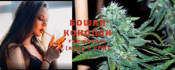 PSILOCYBIN Белокуриха